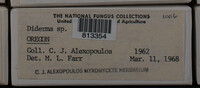 Image Associated With the Occurence